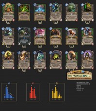 Top Koloda Hearthstone. Hunter-05020