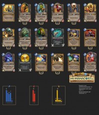 Top-Koloda-Hearthstone.-Paladin-03220