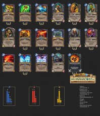 Top-Koloda-Hearthstone.-Shaman-04060