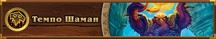 META Archetype_TempoShaman