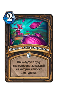 Шквал остроцветов