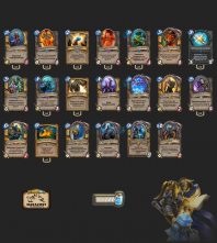 Thijs_N_Zoth_Divine_Paladin