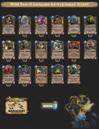 Cyan wild murlock paladin