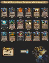 Топ-16 Мидрейндж Паладин (chunchunner)