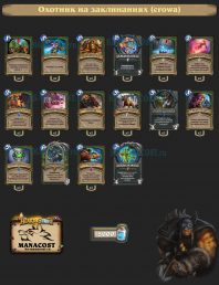 Охотник на заклинаниях (crowa)