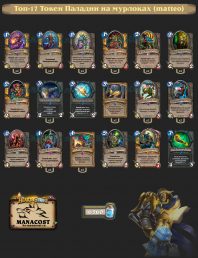 Топ-17 Токен Паладин на мурлоках (matteo)