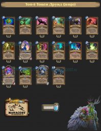 Топ-8 Токен Друид (jengo)