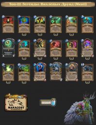 Meati-top22-legend-druid-deck