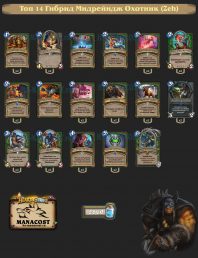 Топ-14 Легенды Гибрид Мидрейндж Охотник (Zeh)