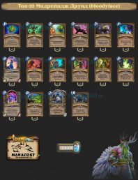 Топ-20 Мидрейндж Друид (bloodyface)
