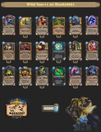 wild-top-11-legend-odd-paladin-rastakhan-Husky0821-deck