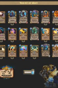 OTK_paladin_top65_dee5