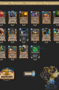 secret_paladin_aman_bers