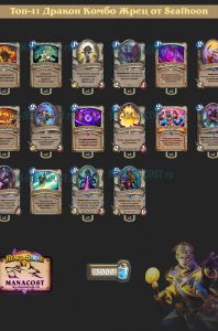Топ-41 Дракон Комбо Жрец от Sealhoon