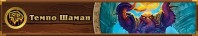 META Archetype_TempoShaman