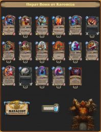 Karomizu’s Pirate Warrior(1)