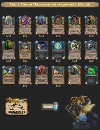 Топ-1 Токен Паладин на мурлоках (riyuu)