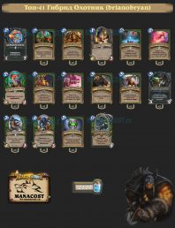 Топ-41 Гибрид Охотник (brianobryan)