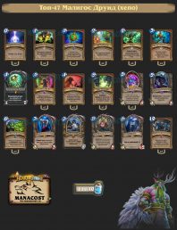 Топ-47 Малигос Друид (xeno)