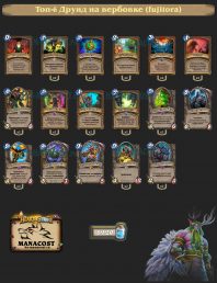 Топ-6 Друид на вербовке (fujitora)