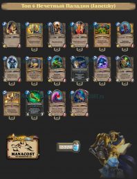 Топ-6 Легенды Нечетный Паладин (Janetzky)