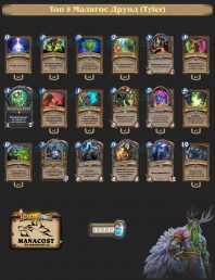 Топ-8 Легенды Малигос Друид (Tyler)