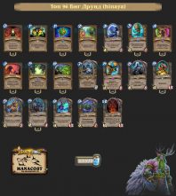 Топ-96 Легенды Биг Друид (hinaya)