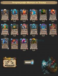 Trump-theorycraft-shaman