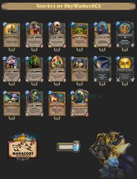 Legend Skywalker’s Aggro Paladin