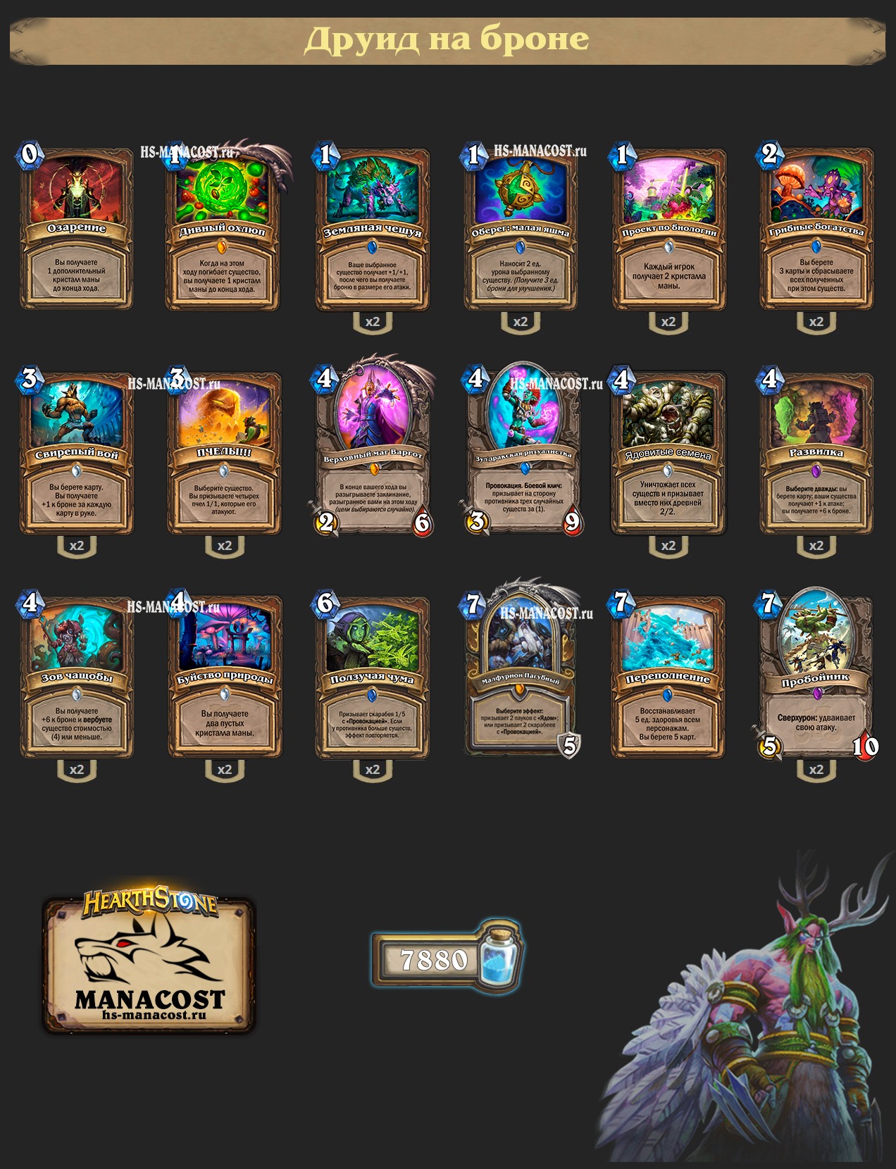 Armor druid hearthstone