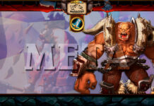 Воин в актуальной мете Закаленных Степями: топ колоды и тенденции развития