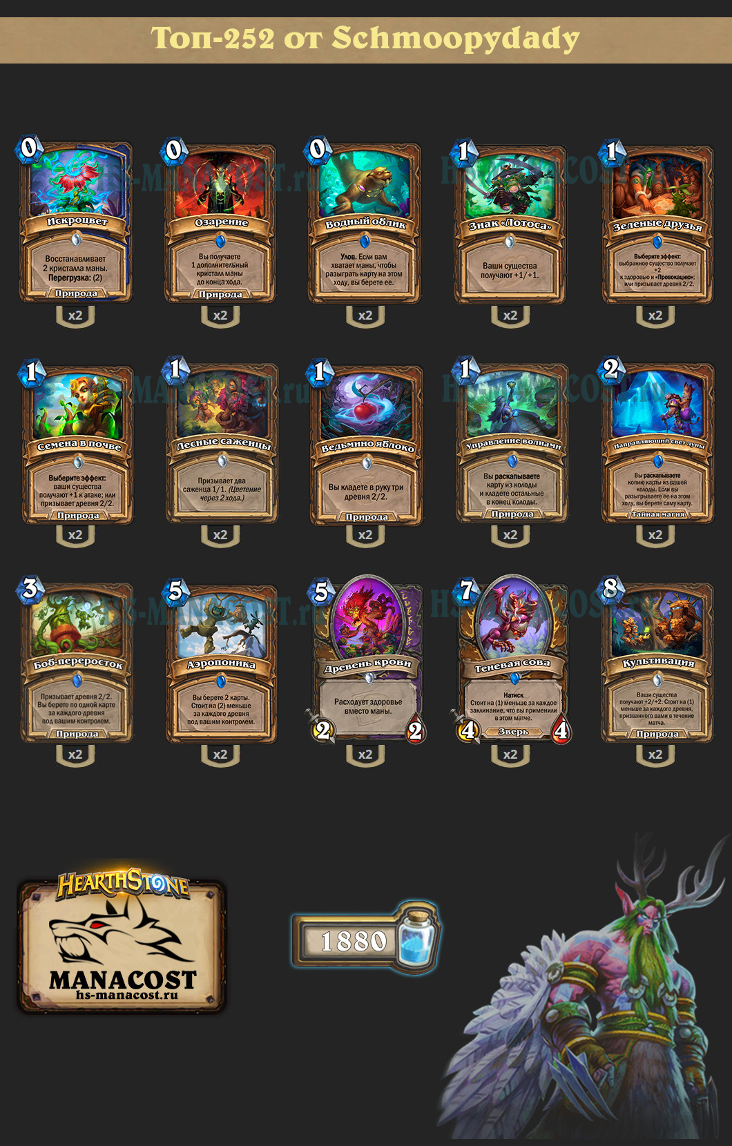 Токен Друид