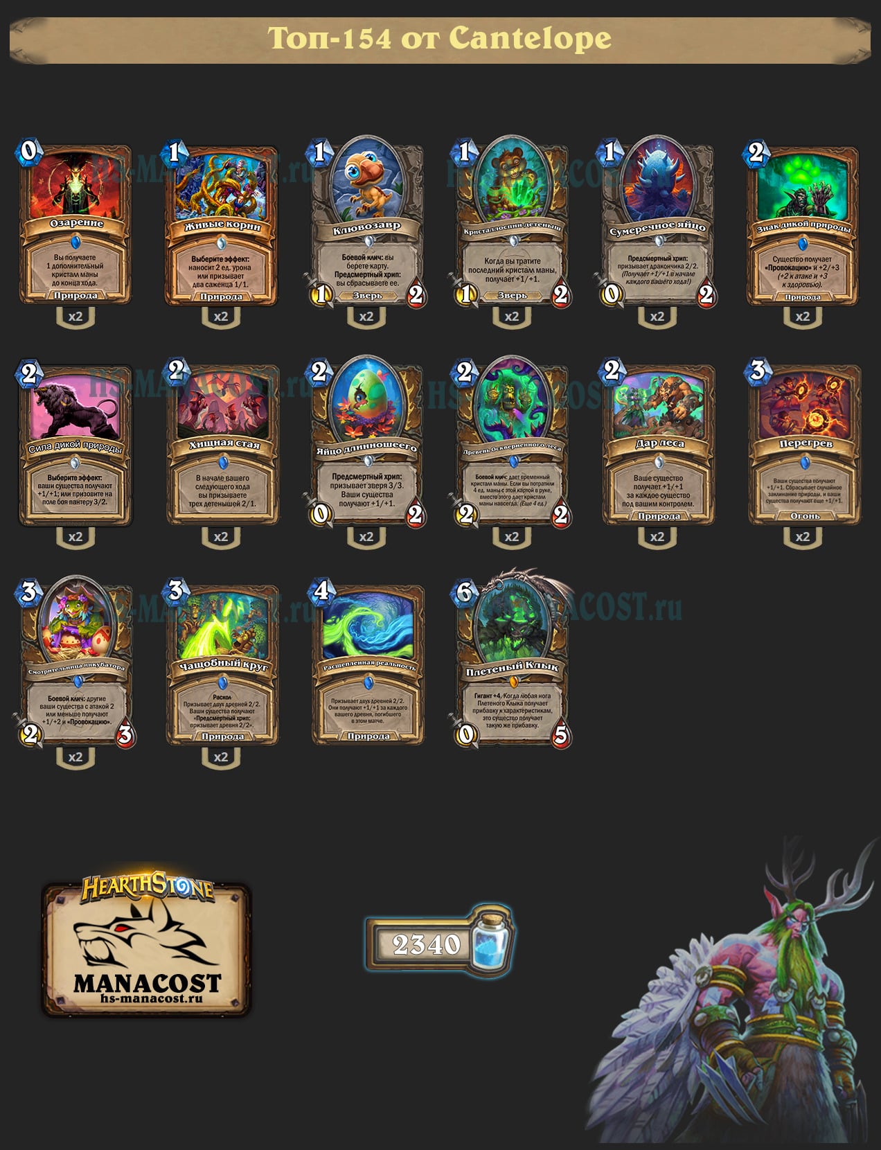 Токен Друид